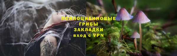 ешки Абаза