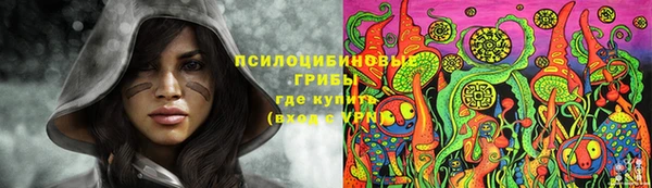 ешки Абаза