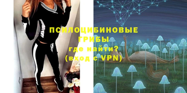 ешки Абаза