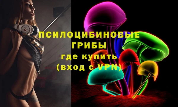 ешки Абаза